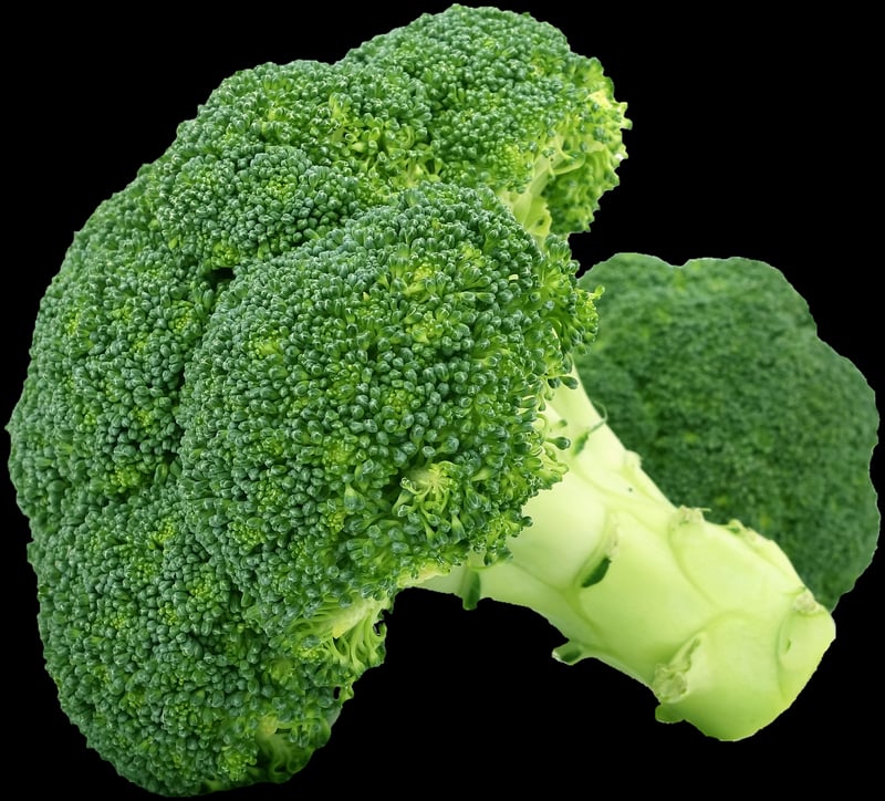 Vegetable-focused dishes